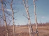 belodg46