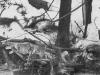Roasting a spruce grouse o'r an open fire - 12 April 1953.