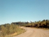 armstr29