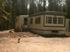 baldy105