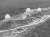 baldy106