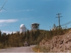 baldy136