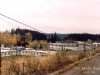 baldy140
