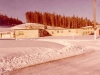 baldy17