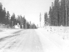 baldy3