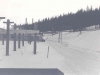 baldy31