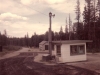 baldy40