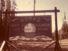 baldy41