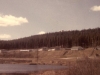 baldy42
