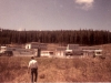 baldy47