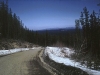 baldy51