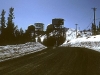 baldy52