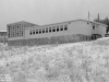 baldy58