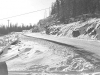 baldy8