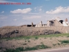 penhol97